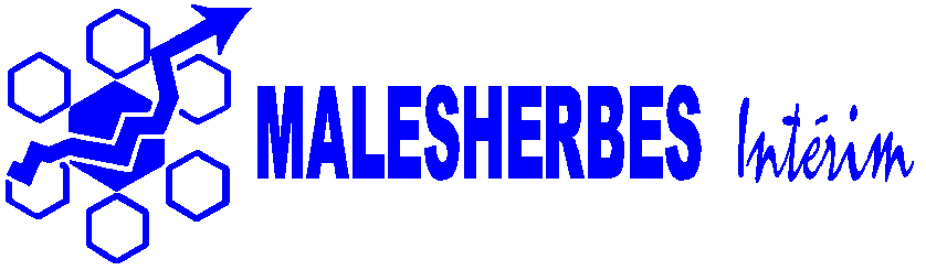 logo Malesherbes Intérim